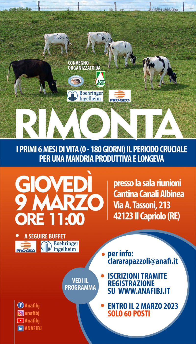 Convegno RIMONTA 