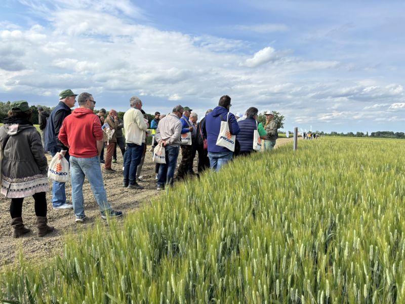 Campi Vetrina Progeo 2026: innovazione e ricerca per l'agricoltura del futuro