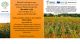 Progetto FERTLESS