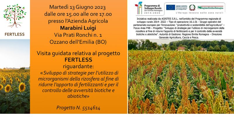 Progetto FERTLESS