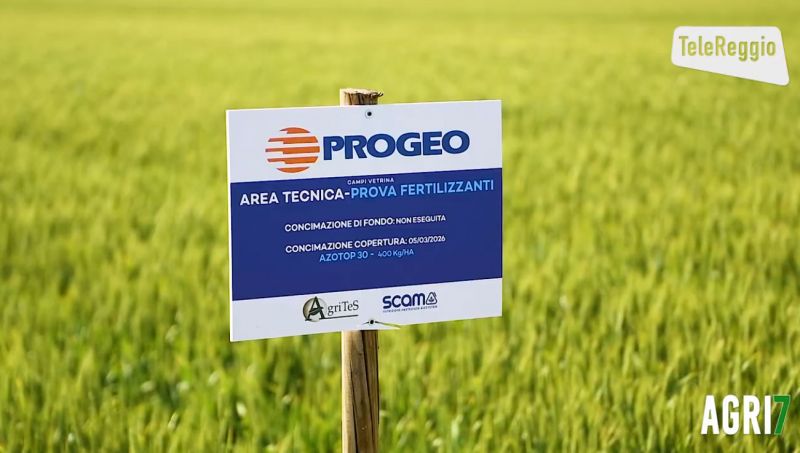 Campi Vetrina Progeo 2026: innovazione e ricerca per l'agricoltura del futuro