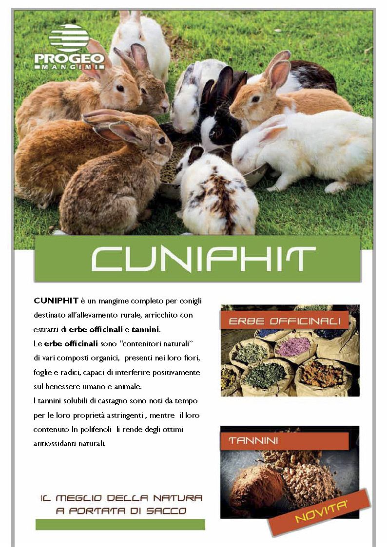 CUNIPHIT