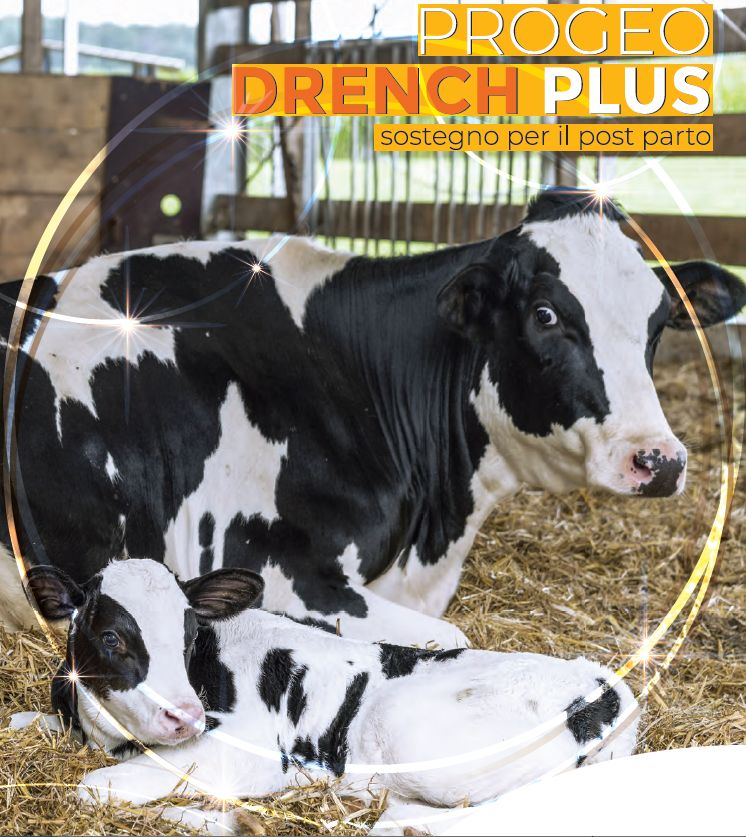 Progeo Drench Plus