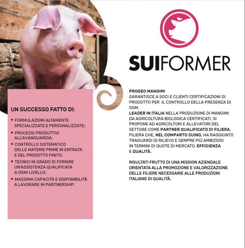 SUIFORMER