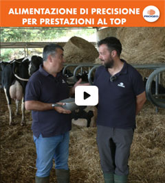Azienda agricola F.lli Colasante Montebello (PE)
