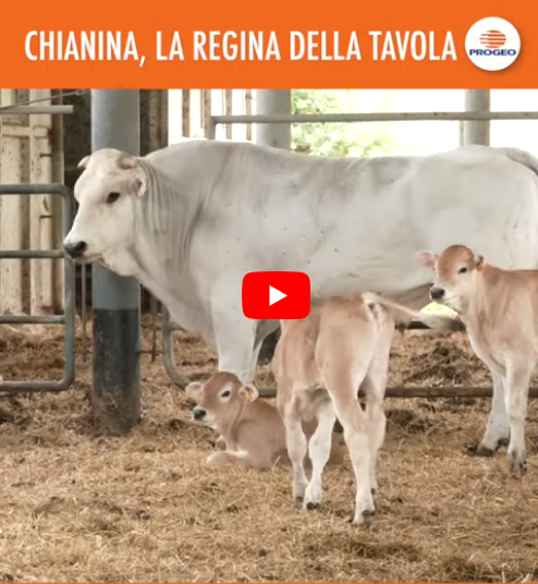 Azienda agricola Trequenda Siena (SI) 